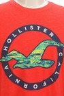 Hollister Co.（ホリスター）の古着「商品番号：PR10296814」-4