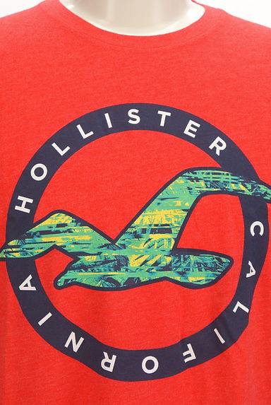 Hollister Co.（ホリスター）の古着「プリントTシャツ（Ｔシャツ）」大画像４へ