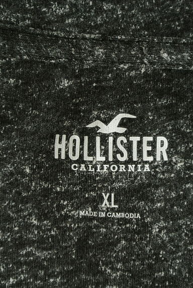 Hollister Co.（ホリスター）の古着「プリントTシャツ（Ｔシャツ）」大画像６へ