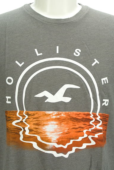 Hollister Co.（ホリスター）の古着「サンセットプリントTシャツ（Ｔシャツ）」大画像４へ