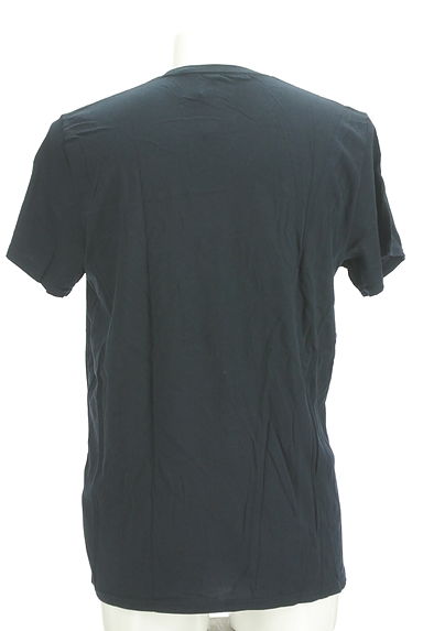 Hollister Co.（ホリスター）の古着「ロゴ刺繍Tシャツ（Ｔシャツ）」大画像２へ