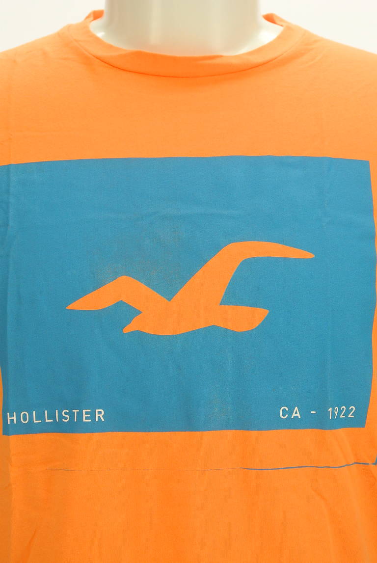 Hollister Co.（ホリスター）の古着「商品番号：PR10297386」-大画像4