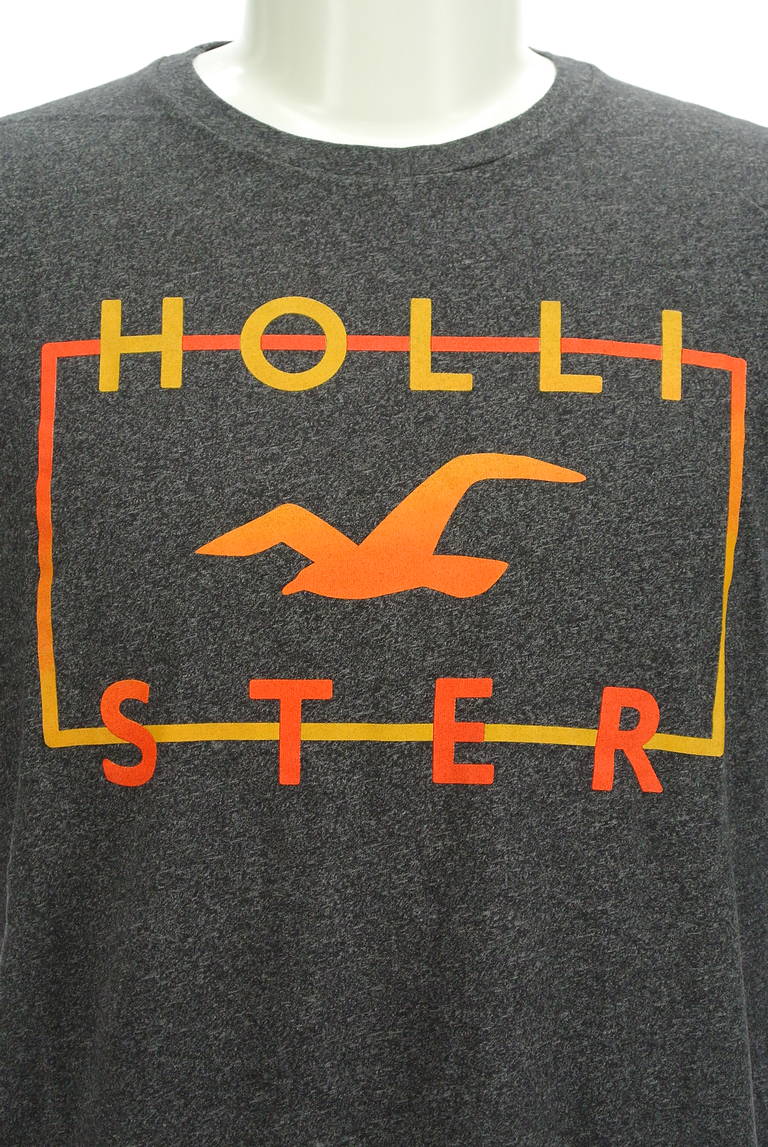 Hollister Co.（ホリスター）の古着「商品番号：PR10297390」-大画像4
