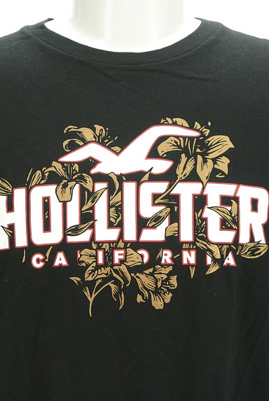Hollister Co.（ホリスター）の古着「ロゴプリントTシャツ（Ｔシャツ）」大画像４へ
