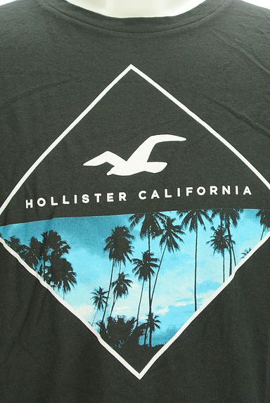 Hollister Co.（ホリスター）の古着「リゾートプリントTシャツ（Ｔシャツ）」大画像４へ