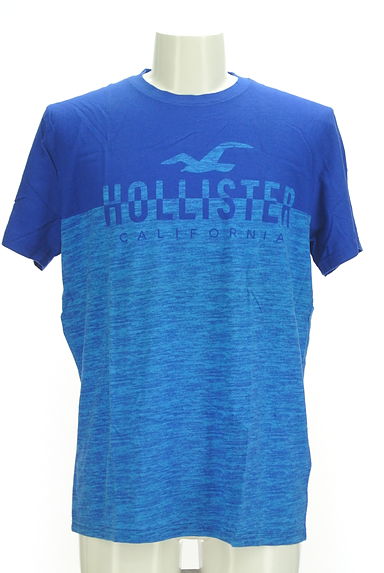 Hollister Co.（ホリスター）の古着「バイカラーTシャツ（Ｔシャツ）」大画像１へ