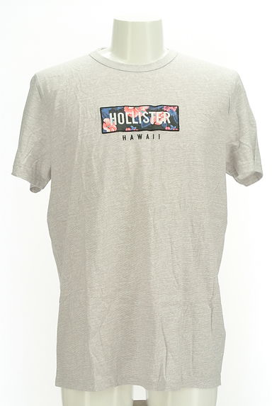 Hollister Co.（ホリスター）の古着「ハイビスカス柄ロゴTシャツ（Ｔシャツ）」大画像１へ