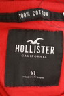 Hollister Co.（ホリスター）の古着「商品番号：PR10297408」-6