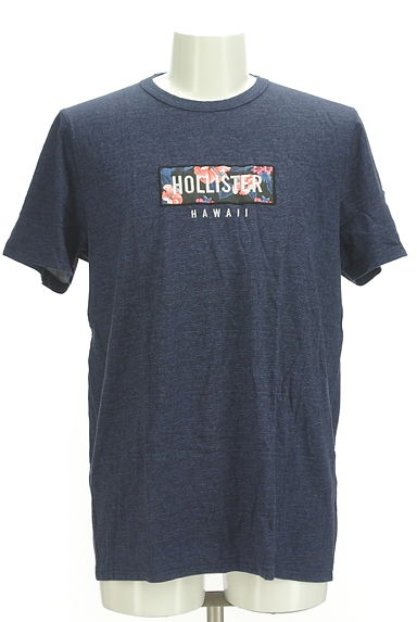 Hollister Co.（ホリスター）の古着「ハイビスカス柄ロゴTシャツ（Ｔシャツ）」大画像１へ