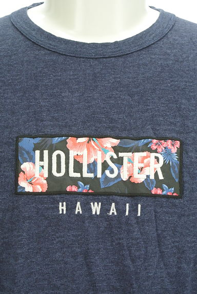 Hollister Co.（ホリスター）の古着「ハイビスカス柄ロゴTシャツ（Ｔシャツ）」大画像４へ