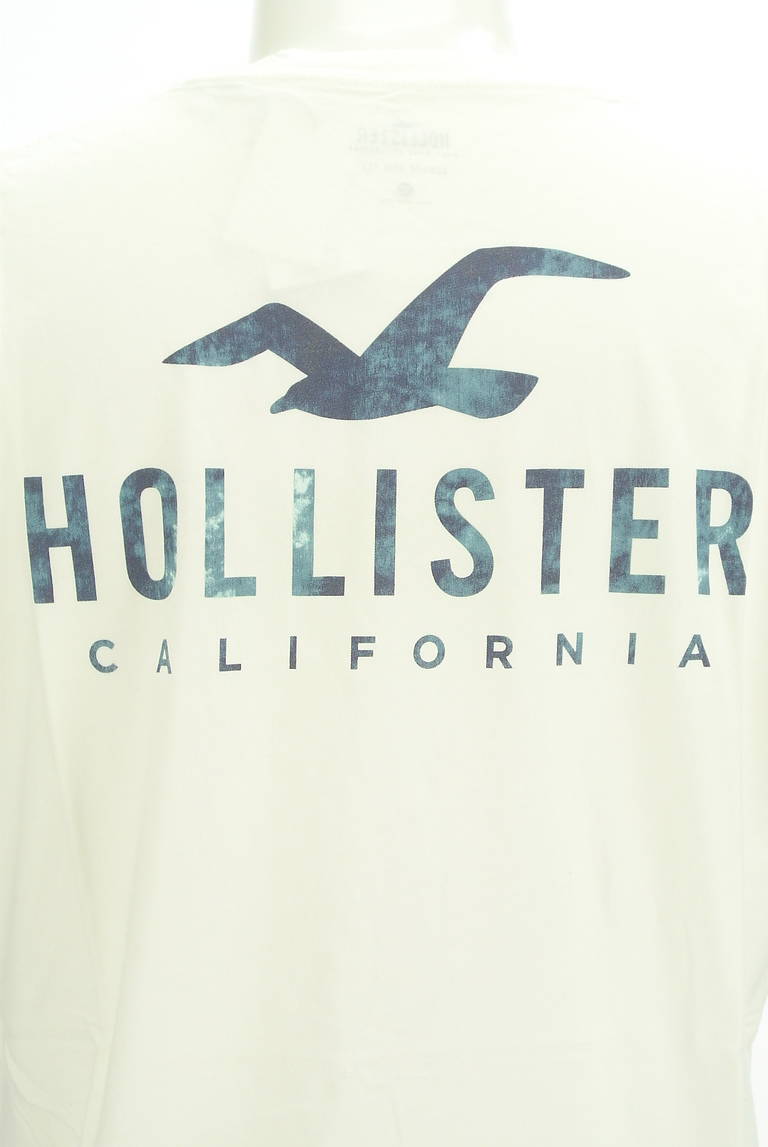 Hollister Co.（ホリスター）の古着「商品番号：PR10297414」-大画像4