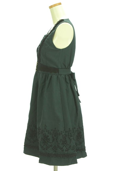 axes femme（アクシーズファム）の古着「フロッキー薔薇柄膝丈フェミニンワンピース（ワンピース・チュニック）」大画像３へ