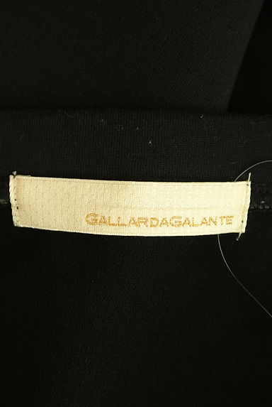 GALLARDAGALANTE（ガリャルダガランテ）の古着「前後切替ポンチトップス（スウェット・パーカー）」大画像６へ