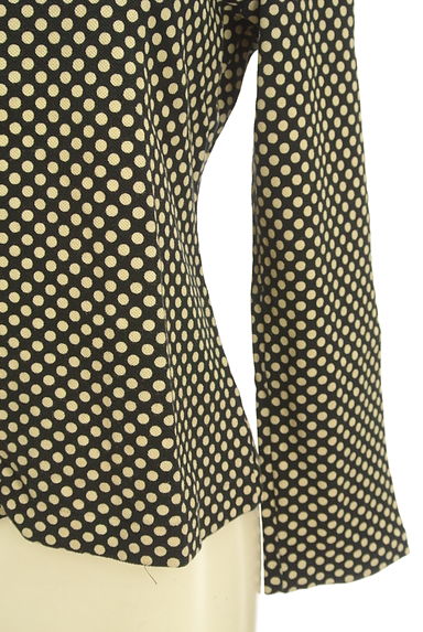 INGEBORG（インゲボルグ）の古着「ドット柄カットソー（ニット）」大画像５へ