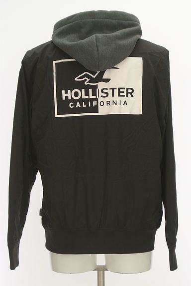 Hollister Co.（ホリスター）の古着「バックプリント中綿入りフーディブルゾン（ブルゾン・スタジャン）」大画像２へ