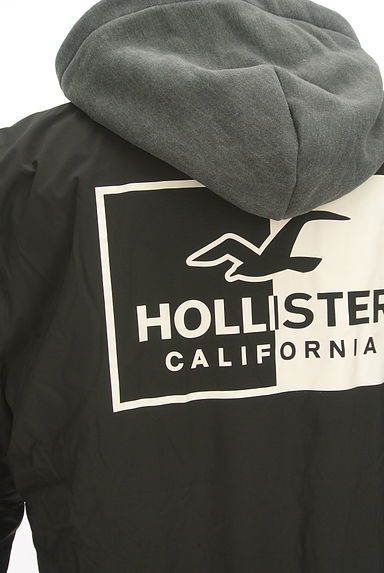 Hollister Co.（ホリスター）の古着「バックプリント中綿入りフーディブルゾン（ブルゾン・スタジャン）」大画像５へ