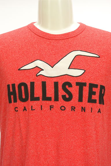Hollister Co.（ホリスター）の古着「ラウンドヘムロゴTシャツ（Ｔシャツ）」大画像４へ