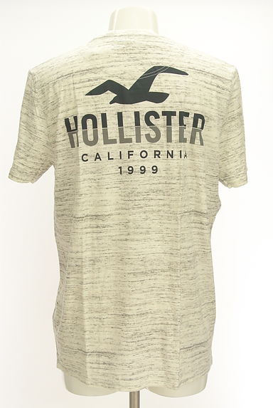 Hollister Co.（ホリスター）の古着「バックロゴTシャツ（Ｔシャツ）」大画像２へ