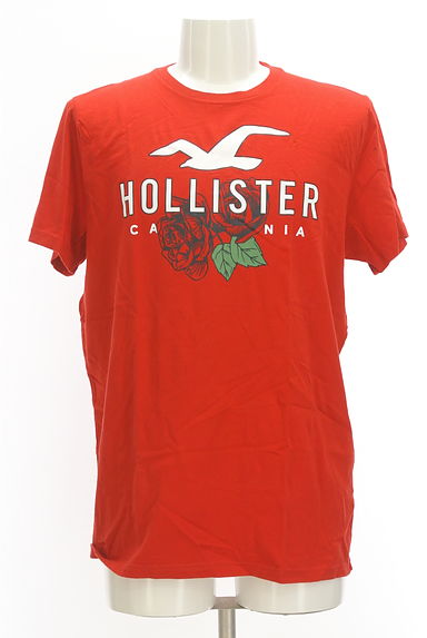 Hollister Co.（ホリスター）の古着「薔薇×ロゴTシャツ（Ｔシャツ）」大画像１へ