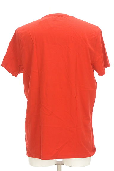 Hollister Co.（ホリスター）の古着「薔薇×ロゴTシャツ（Ｔシャツ）」大画像２へ