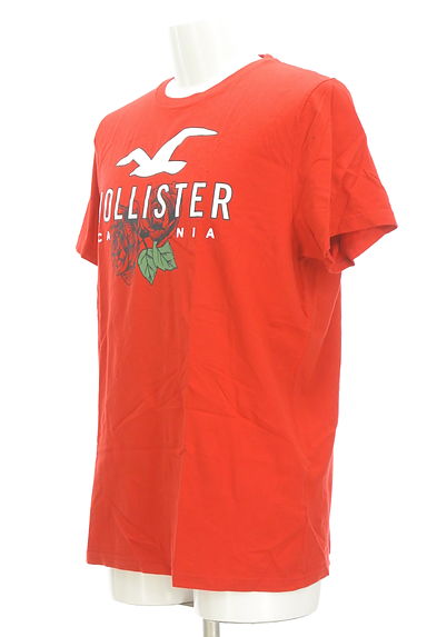 Hollister Co.（ホリスター）の古着「薔薇×ロゴTシャツ（Ｔシャツ）」大画像３へ