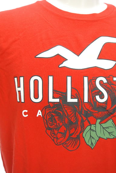 Hollister Co.（ホリスター）の古着「薔薇×ロゴTシャツ（Ｔシャツ）」大画像４へ