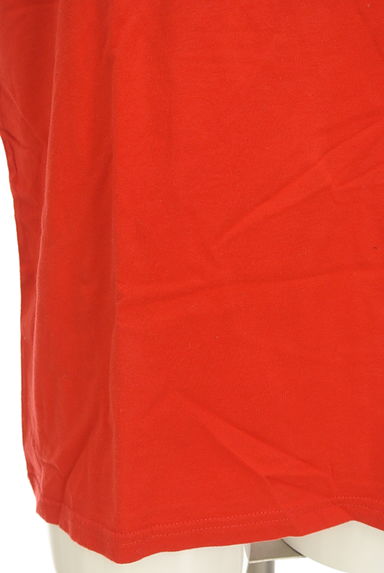 Hollister Co.（ホリスター）の古着「薔薇×ロゴTシャツ（Ｔシャツ）」大画像５へ