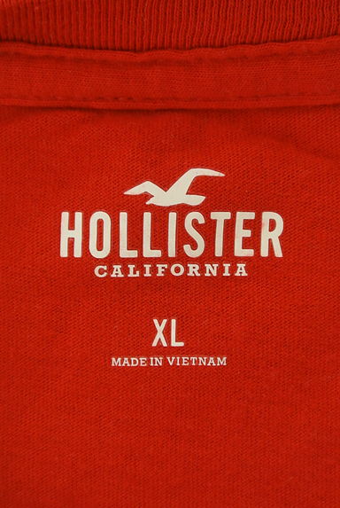 Hollister Co.（ホリスター）の古着「薔薇×ロゴTシャツ（Ｔシャツ）」大画像６へ