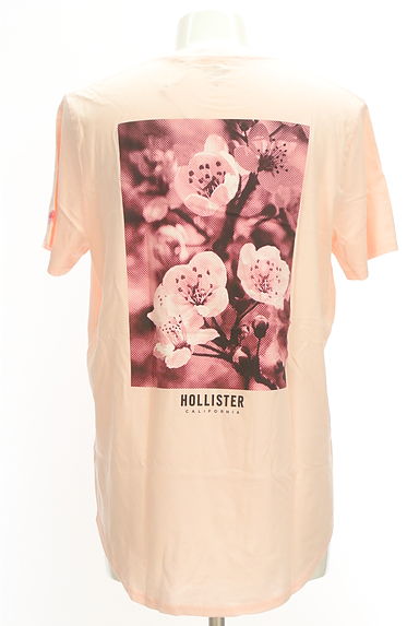 Hollister Co.（ホリスター）の古着「花フォトプリントTシャツ（Ｔシャツ）」大画像２へ