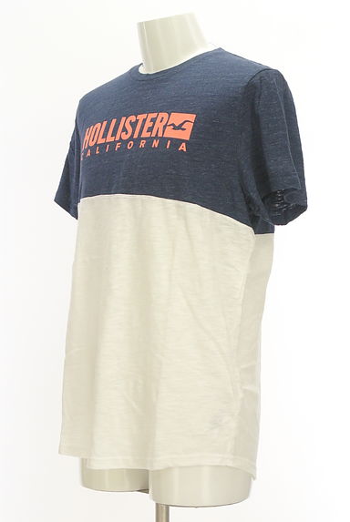 Hollister Co.（ホリスター）の古着「バイカラーロゴTシャツ（Ｔシャツ）」大画像３へ