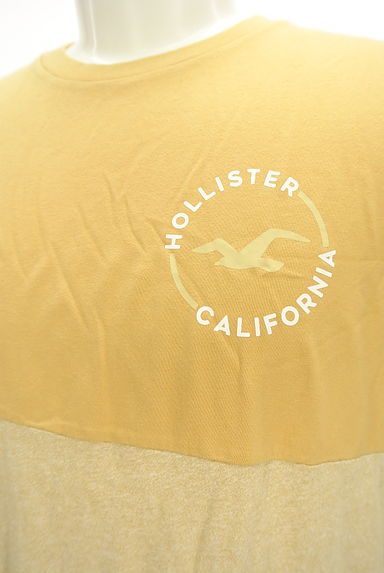 Hollister Co.（ホリスター）の古着「バイカラーロゴプリントＴシャツ（Ｔシャツ）」大画像４へ