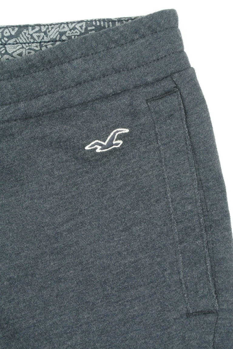 Hollister Co.（ホリスター）の古着「商品番号：PR10298124」-大画像4