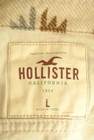 Hollister Co.（ホリスター）の古着「商品番号：PR10298130」-6