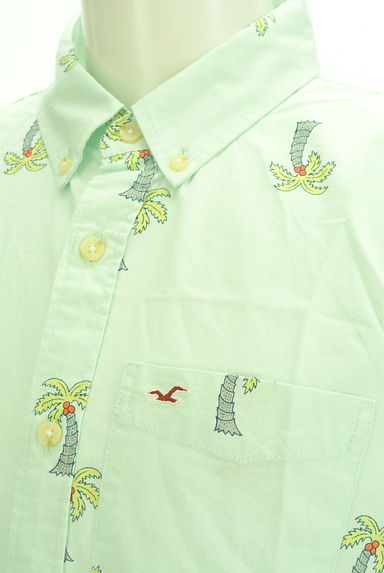 Hollister Co.（ホリスター）の古着「ヤシの木柄シャツ（カジュアルシャツ）」大画像４へ