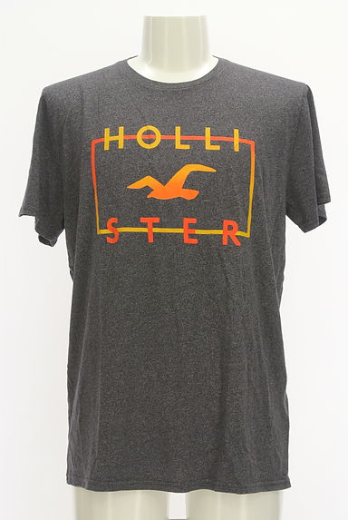 Hollister Co.（ホリスター）の古着「グラデロゴプリントＴシャツ（Ｔシャツ）」大画像１へ