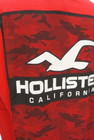 Hollister Co.（ホリスター）の古着「商品番号：PR10298140」-5