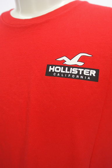 Hollister Co.（ホリスター）の古着「バックプリントＴシャツ（Ｔシャツ）」大画像４へ