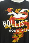 Hollister Co.（ホリスター）の古着「商品番号：PR10298141」-4