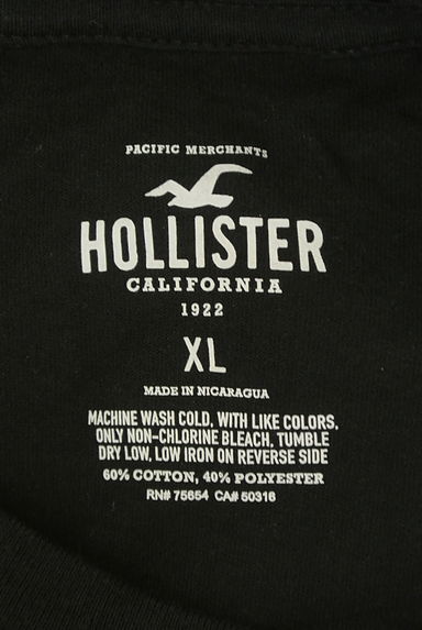 Hollister Co.（ホリスター）の古着「ロゴ×ドラゴンプリントＴシャツ（Ｔシャツ）」大画像６へ