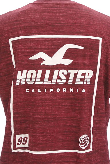 Hollister Co.（ホリスター）の古着「バックプリントTシャツ（Ｔシャツ）」大画像５へ