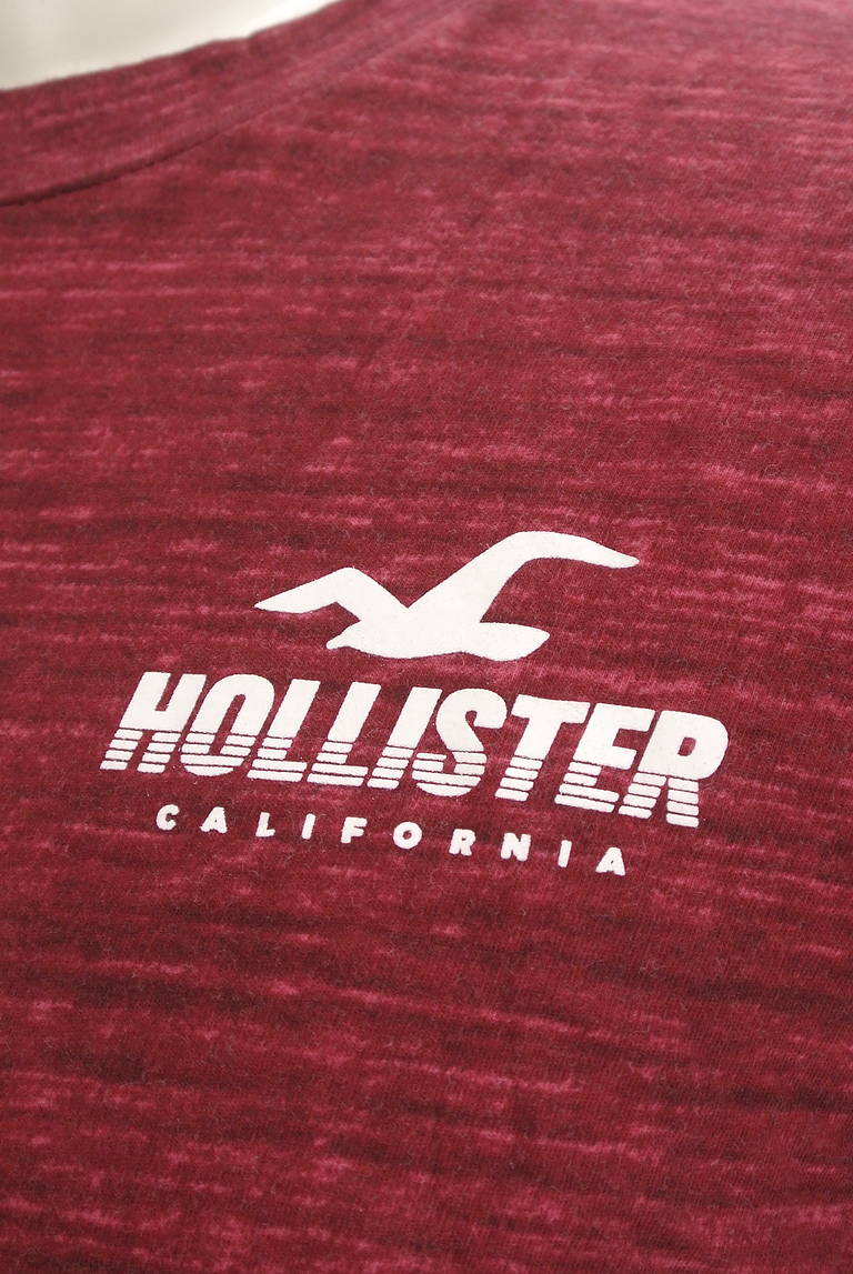 Hollister Co.（ホリスター）の古着「商品番号：PR10298165」-大画像4