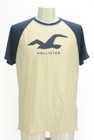 Hollister Co.（ホリスター）の古着「商品番号：PR10298194」-1
