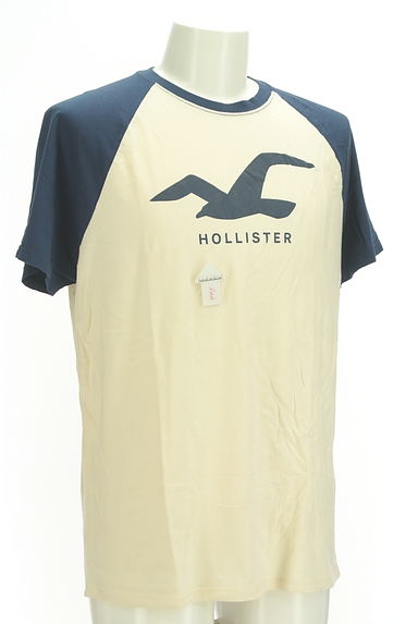 Hollister Co.（ホリスター）の古着「プリントラグランTシャツ（Ｔシャツ）」大画像４へ