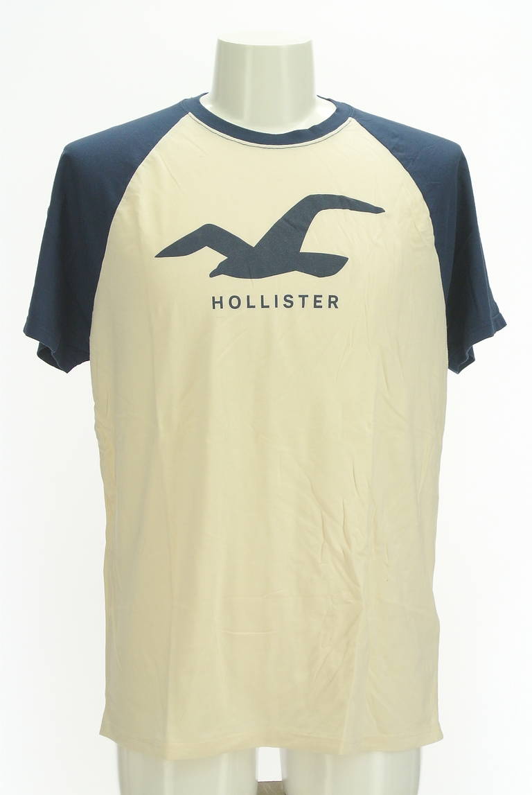 Hollister Co.（ホリスター）の古着「商品番号：PR10298194」-大画像1