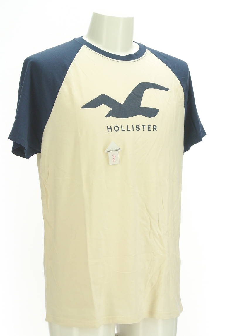 Hollister Co.（ホリスター）の古着「商品番号：PR10298194」-大画像4