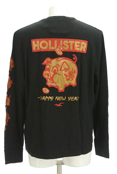 Hollister Co.（ホリスター）の古着「バックブタプリントTシャツ（Ｔシャツ）」大画像２へ