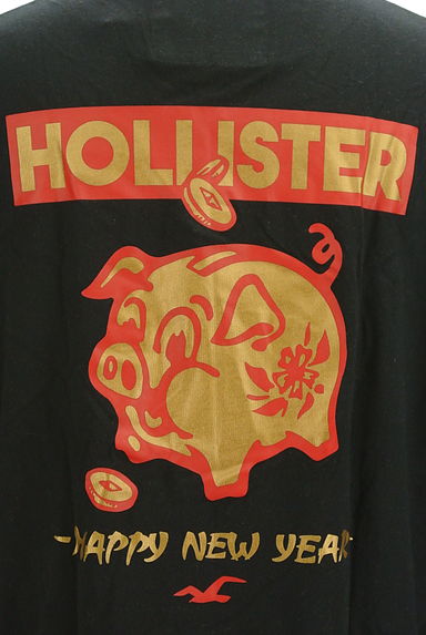 Hollister Co.（ホリスター）の古着「バックブタプリントTシャツ（Ｔシャツ）」大画像５へ