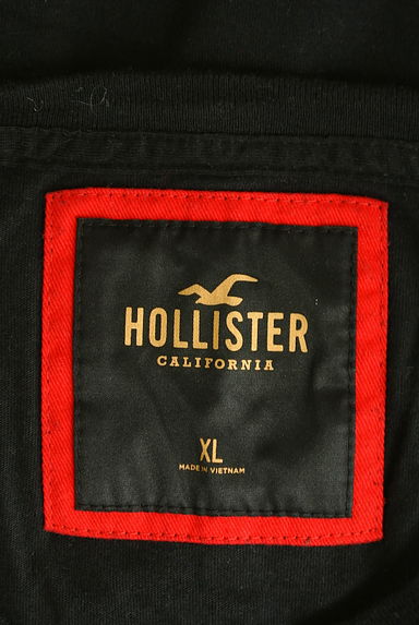 Hollister Co.（ホリスター）の古着「バックブタプリントTシャツ（Ｔシャツ）」大画像６へ