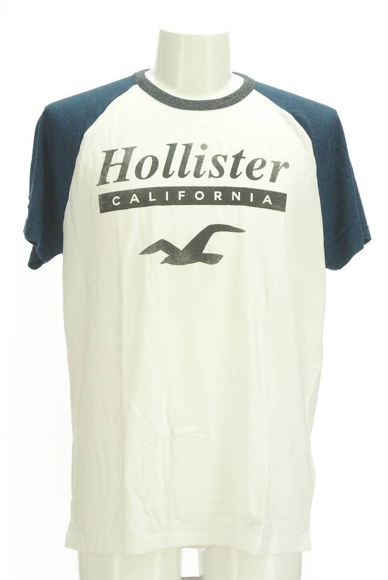 Hollister Co.（ホリスター）の古着「商品番号：PR10298216」-大画像1