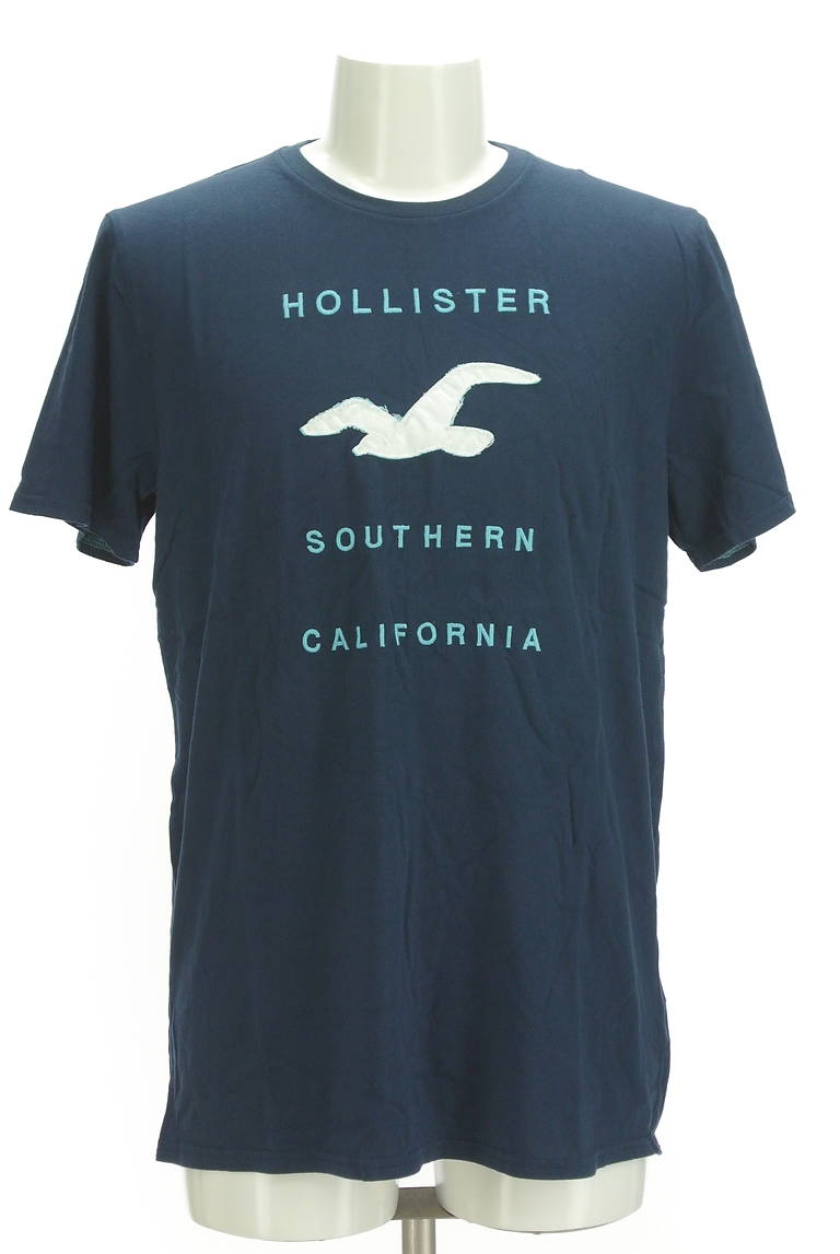 Hollister Co.（ホリスター）の古着「商品番号：PR10298436」-大画像1
